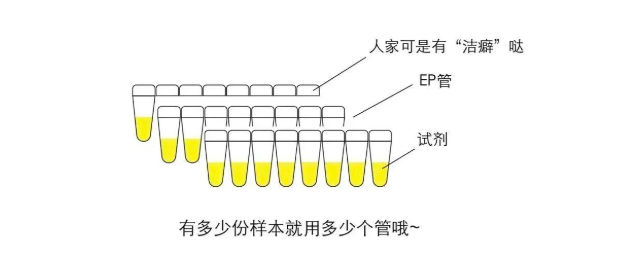 配造试剂 配造试剂