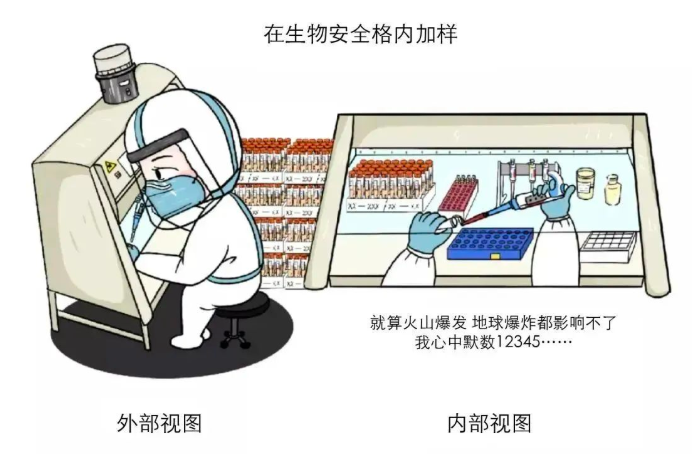 提取核酸 提取核酸