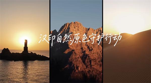 FB体育三原色守护行动